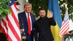 Костюм Зеленского, загар канцлера, звонок Путину. Подробности о встрече в Белом доме